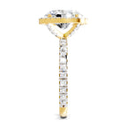Pristine Oval Halo Diamond Ring