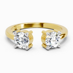 Exquisite Round Two-Stone Diamond Ring
