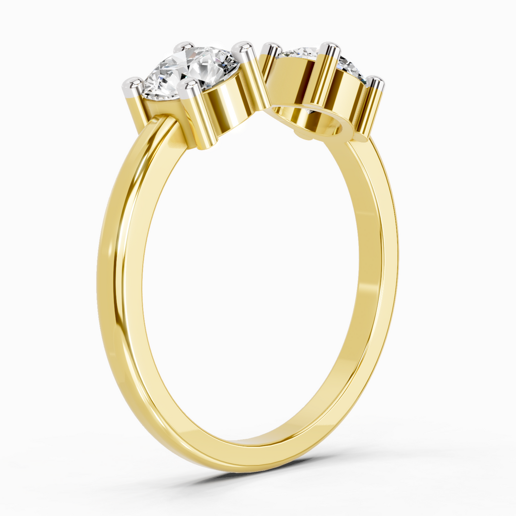 Exquisite Round Two-Stone Diamond Ring
