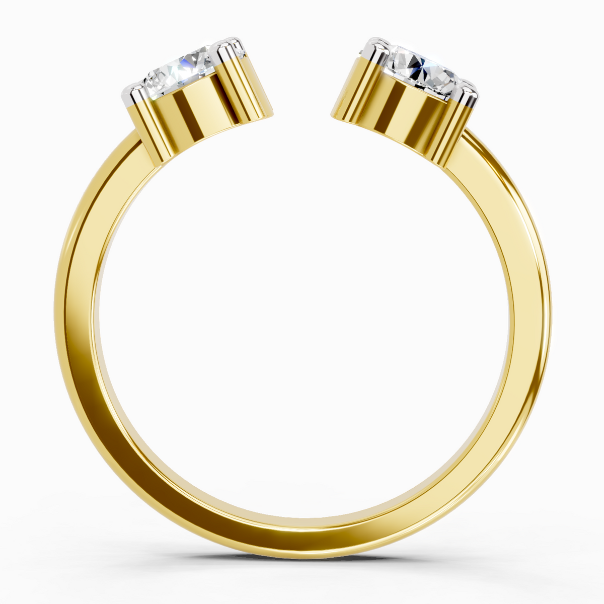 Exquisite Round Two-Stone Diamond Ring